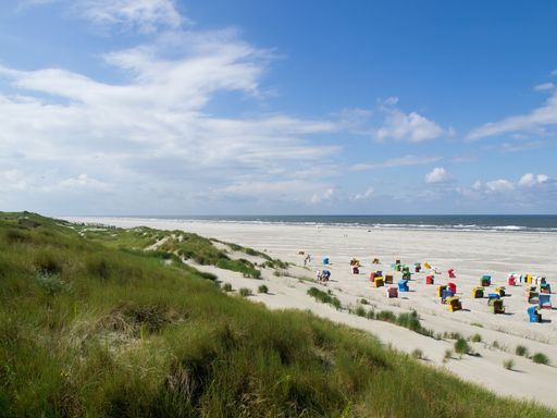 Grass plants on Langeoog sandy beach with colorful seats by the sea in Germany under blue sky