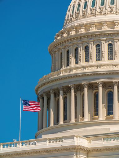 A vertical shot of the United States Capitol under a blue sky at daytime in Washington
