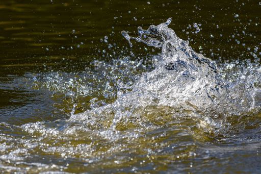 A closeup of a small water wave with big drops