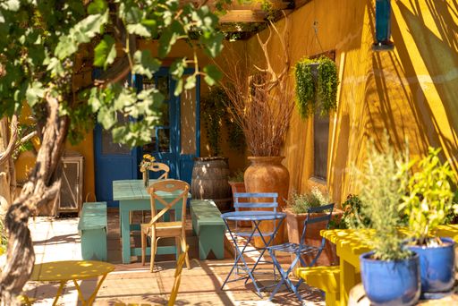 A beautiful outdoor patio of a wooden house with plants and colorful furniture