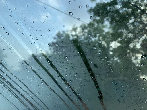 A glass with trees reflection and raindrops