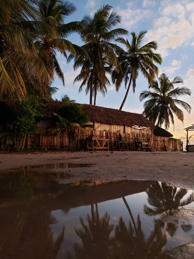 A vertical shot of a wooden building and palm trees reflected on the water
