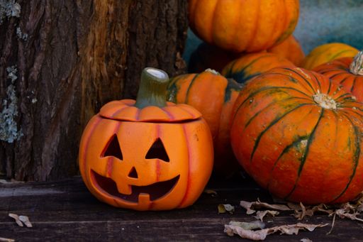 Jack-o'-lantern with pumpkins, halloween decoration with place for text