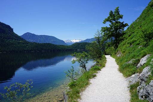 A beautiful view of the lake in green nature and surrounded by mountains