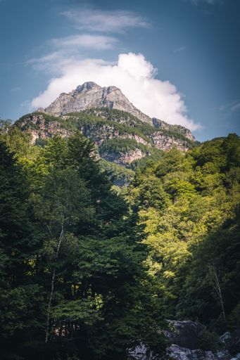 A vertical shot of rocky mountains covered with trees, Lavertezzo, Switzerland, Canton Ticino