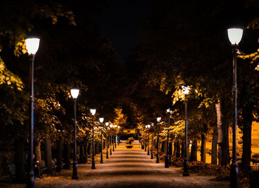 A beautiful shot of a road lined with lamp posts during nighttime