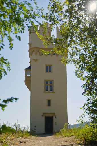 A vertical shot of the historic stone Mouse Tower near water in Bingen am Rhein, Germany