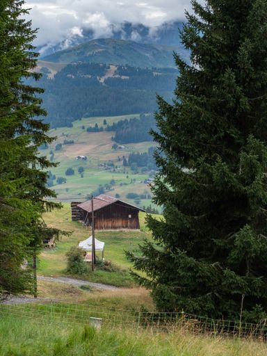 A landscape of a chalet on fields under green mountains with fir trees in Haute Savoie in France
