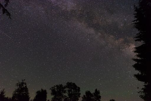 A starry night sky with tree silhouettes in the foreground, perfect for wallpapers and backgrounds