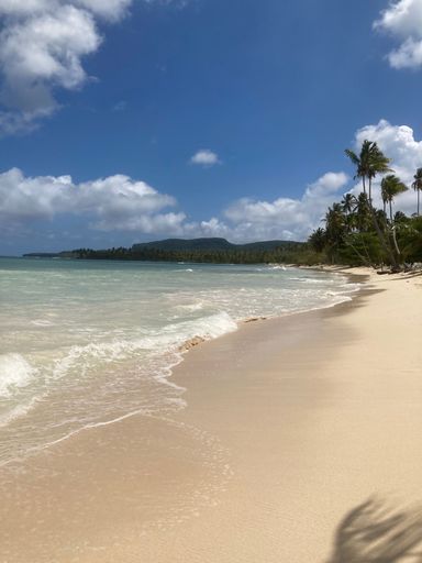 A vertical shot of a sandy coastline on a summer day