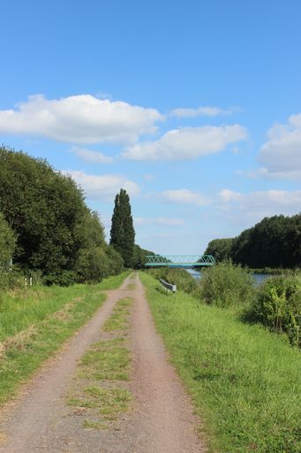 A vertical shot of a way between lawn lands and trees under blue sky