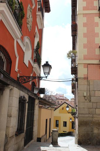 A vertical shot of a narrow street neighborhood with historical  buildings