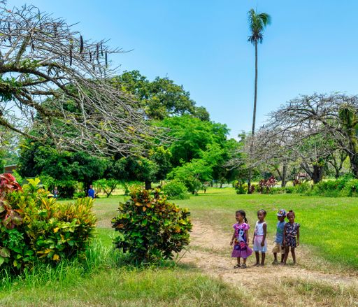 A group of young children in the green park in Alatoa, Papua New Guinea