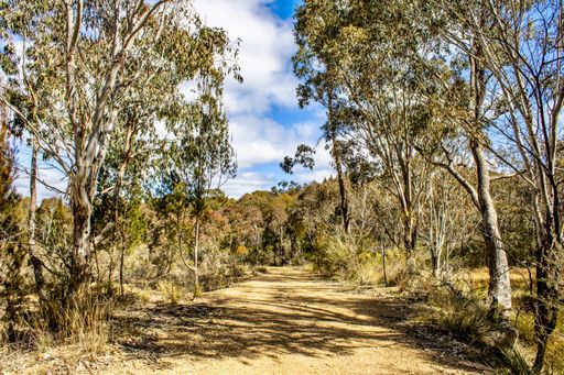 The dry bushlands and swamps in the rural areas of Emmaville, New South Wales, Australia