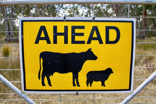 A sign warning cattle and sheep ahead on a gate in a rural area