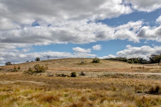 The dry bushlands and swamps in the rural areas of Emmaville, New South Wales, Australia