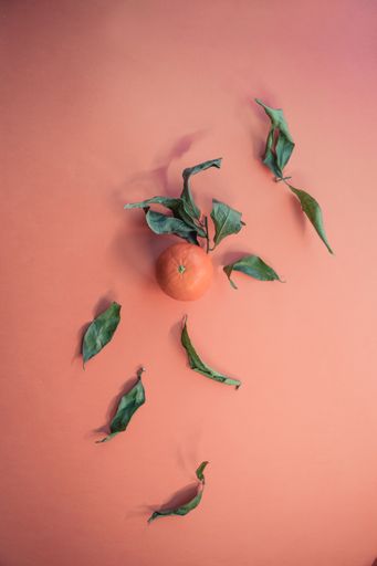 A vertical shot of a fresh orange tangerine with its green leaves spread on a light pink background