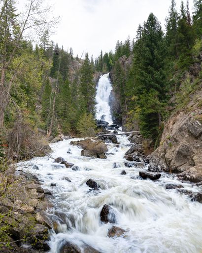 A vertical shot of a waterfall flowing down the rocks in a forest in daylight surrounded by trees