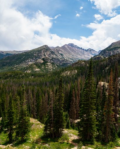 A vertical shot of a mountainous landscape with lush green trees in the foreground in daylight
