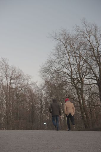 A vertical low angle shot of two people walking on a road surrounded by dry trees
