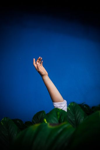 A vertical shot of a female's arm on a blue background behind green plants