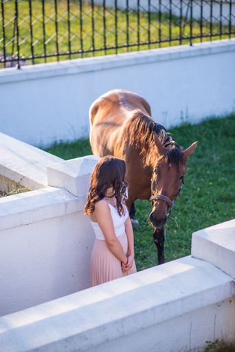 A vertical closeup shot of a girl posing next to a brown horse on a grass field