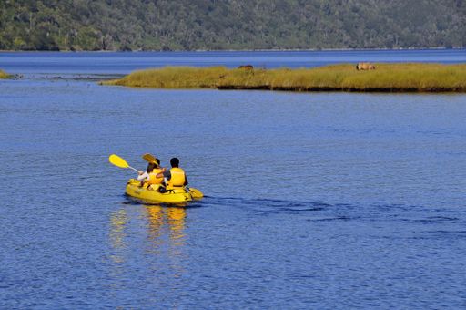 The people kayaking in the lake surrounded by trees and greens