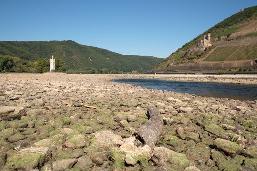 A drought around the Rhine river in Germany