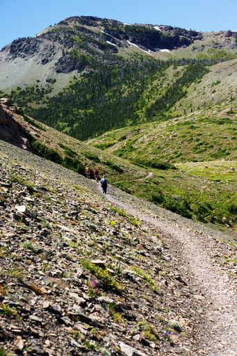 A vertical shot of a group of people walking towards the mountains in Glacier National Park, Montana