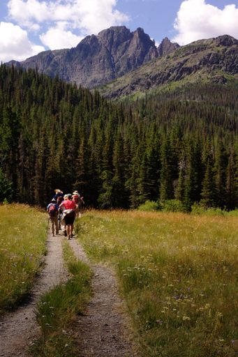 A vertical shot of a group of people walking towards the mountains in Glacier National Park, Montana
