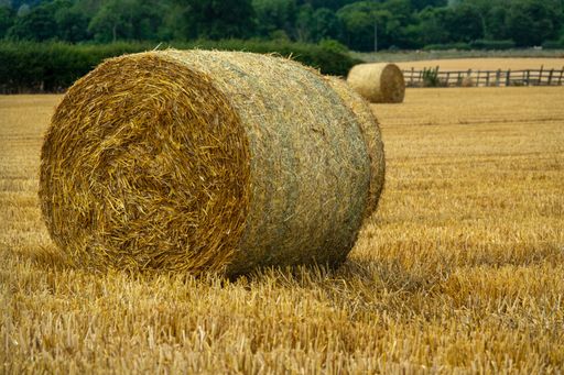 A large dry hay bale on a rural field