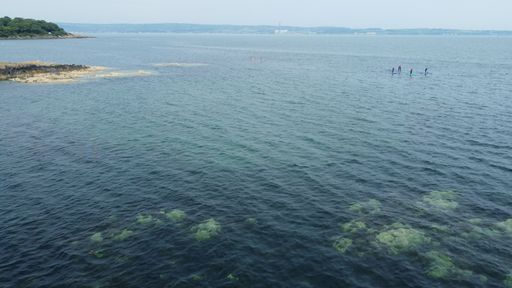 An aerial view of Waterford harbour with coral reefs