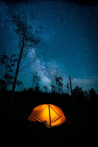 A vertical shot of an illuminated tent under a bright blue milky way starry sky over a pine forest