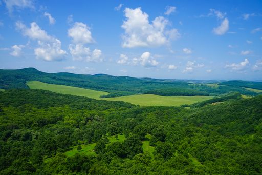 An aerial shot of an amazing landscape covered with trees near Budapest, Hungary