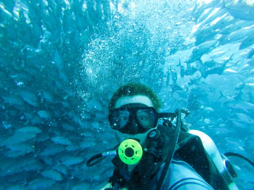 A beautiful shot of a diver during a scuba diving in Sipadan Borneo