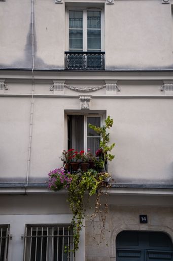 A vertical shot of green plants and flowers on a window in an apartment building in Paris, France