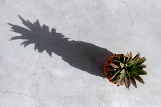 A high angle shot of pineapple with shadow on the floor
