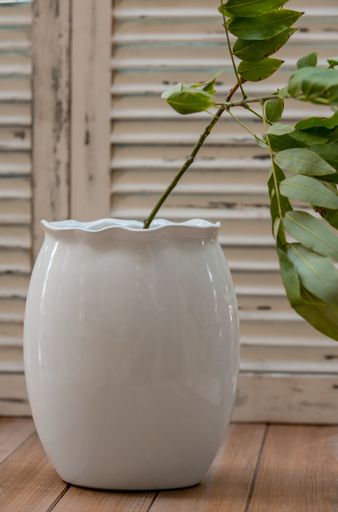 A vertical shot of a white ceramic flower pot with a green plant