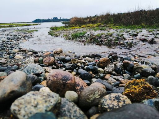 A beautiful shot of a rocky coast of a stream in Rio Piedras