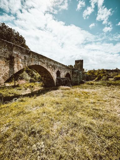 A vertical of the medieval bridge of Frias, Spain above grassland