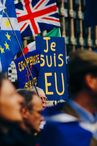 A vertical shot of the protest between pros and cons of Brexit in UK