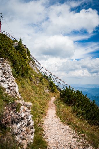 A vertical shot of a boardwalk surrounded by greenery in Ceahlau National Park, Romania
