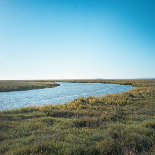 A water stream between green grass in a meadow