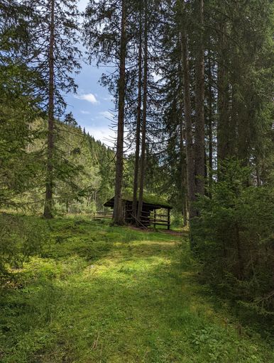 The vertical shot of a feeding cabin and trees in Austrian woods
