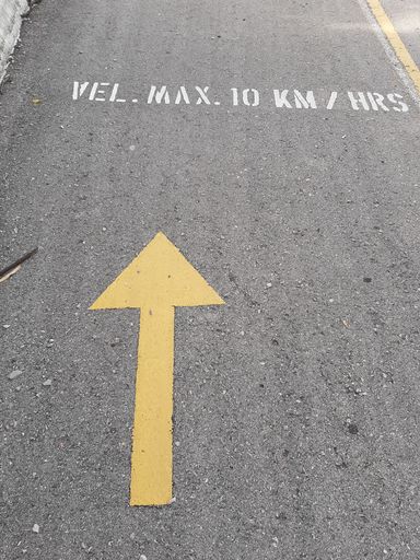 A vertical shot of a yellow sign on the road and text "MAX 10 KM/HRS"