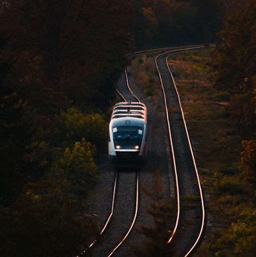 A train on rails in autumn during sunset
