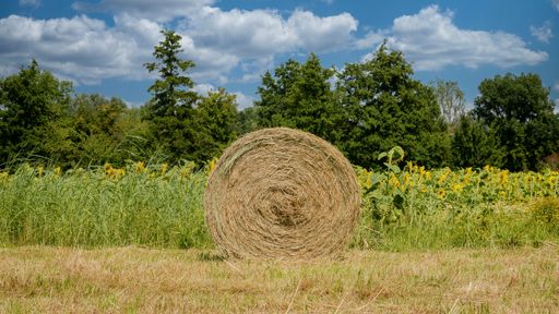 A closeup shot of a rolled hay on a field with flowers and trees in the background