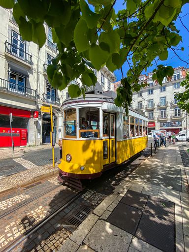 The famous Lisbon trams as they move through old Lisbon street