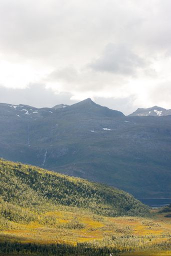 A vertical shot of the beautiful nature of Norway on a cloudy day