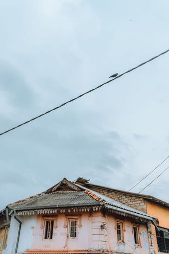 A vertical shot of a bird perched on a wire above the building.